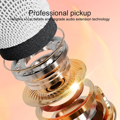 MINI KARAOKE RETRO BLUETOOTH