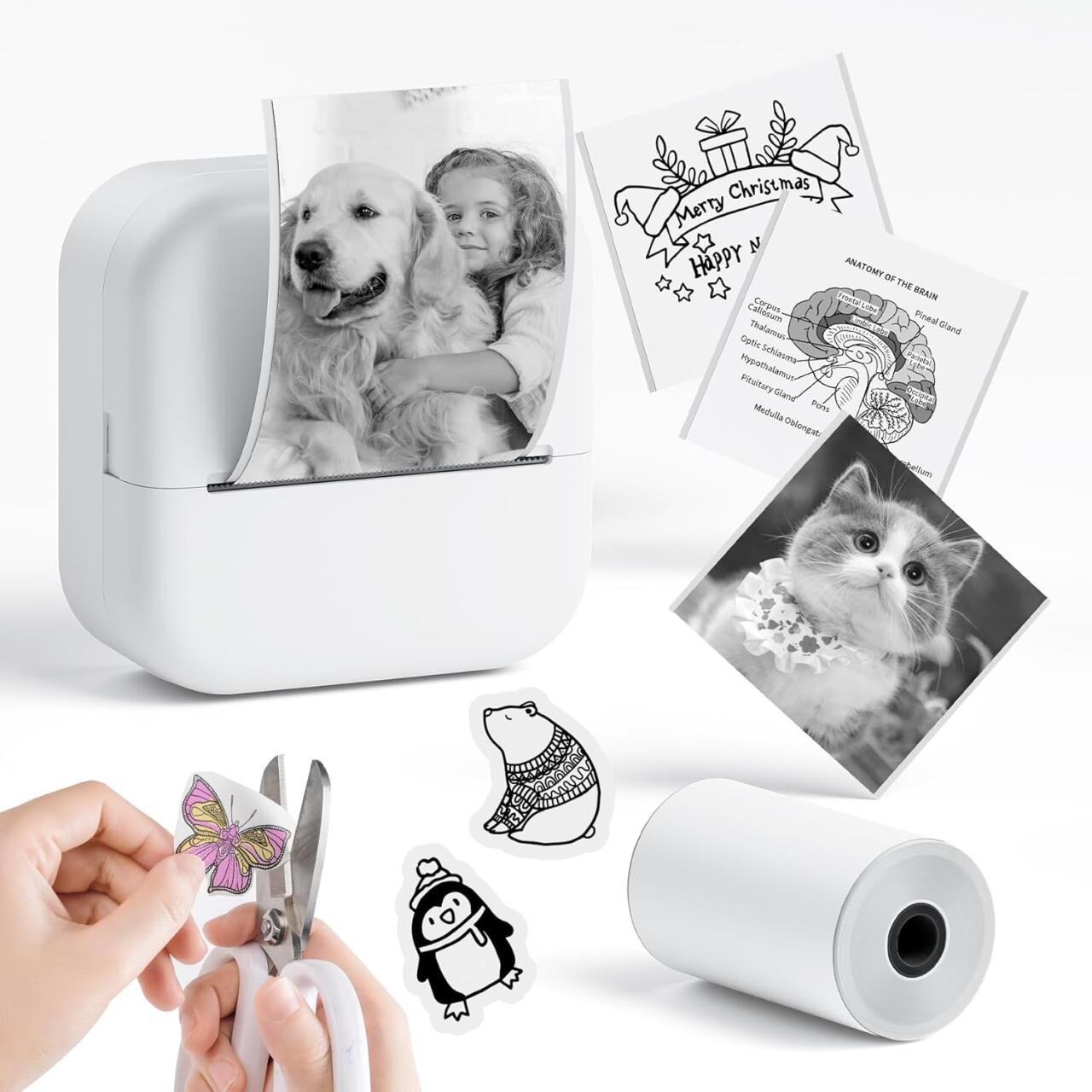 M2 Mini Impresora Térmica Portátil Bluetooth & WiFi